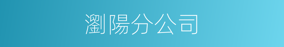 瀏陽分公司的同義詞