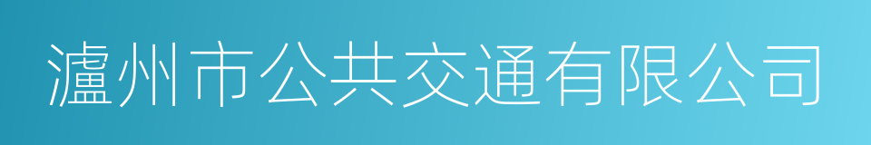 瀘州市公共交通有限公司的同義詞