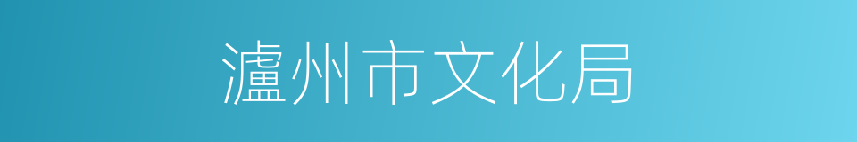 瀘州市文化局的同義詞
