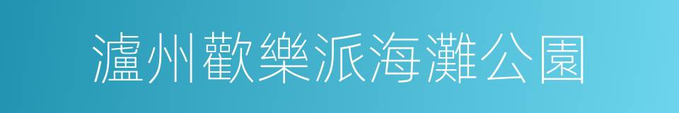 瀘州歡樂派海灘公園的同義詞