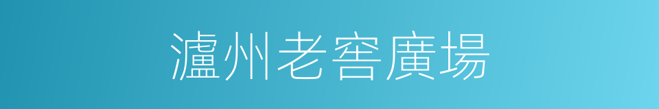 瀘州老窖廣場的同義詞