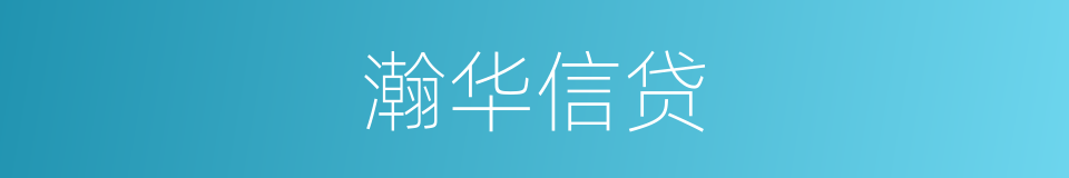 瀚华信贷的同义词
