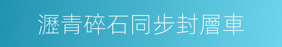 瀝青碎石同步封層車的同義詞