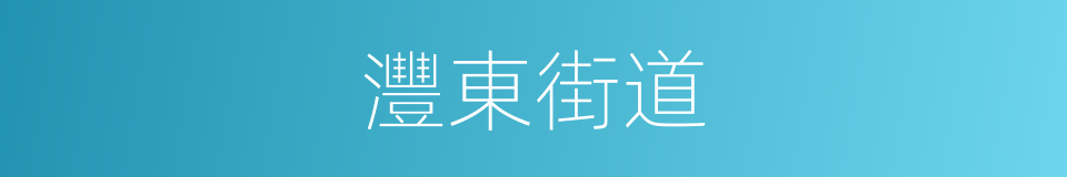 灃東街道的意思