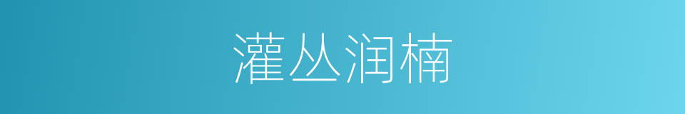 灌丛润楠的同义词
