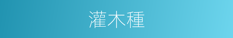 灌木種的同義詞
