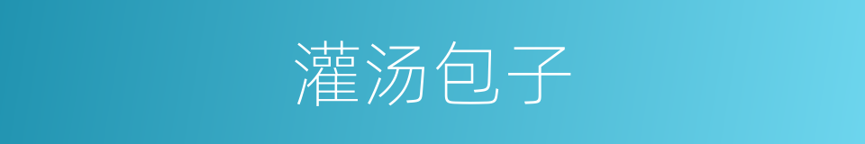 灌汤包子的同义词