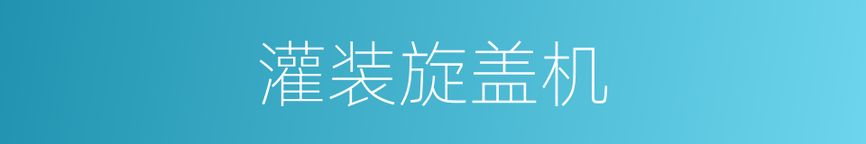 灌装旋盖机的同义词