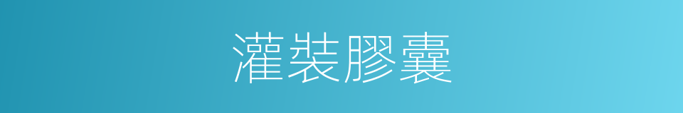 灌裝膠囊的同義詞