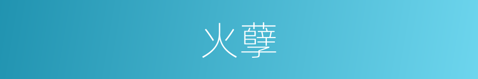 火孽的意思