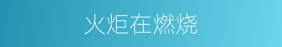 火炬在燃烧的同义词