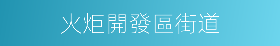 火炬開發區街道的同義詞