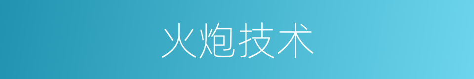 火炮技术的同义词