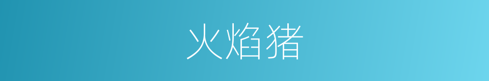 火焰猪的意思