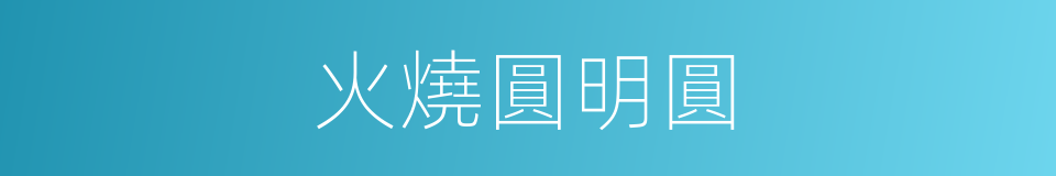 火燒圓明圓的同義詞