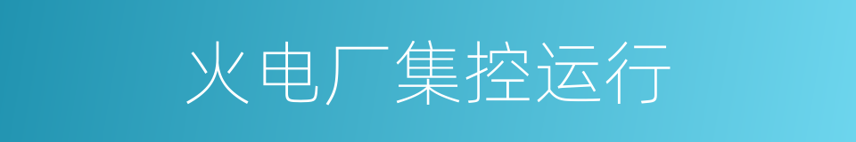 火电厂集控运行的同义词