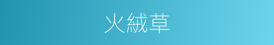 火絨草的意思