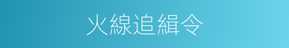 火線追緝令的意思