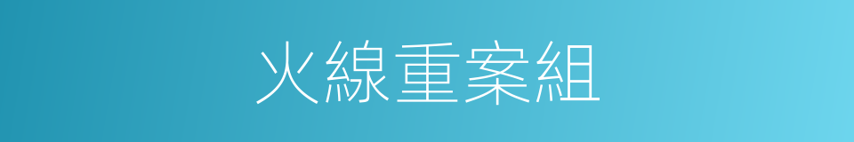 火線重案組的同義詞