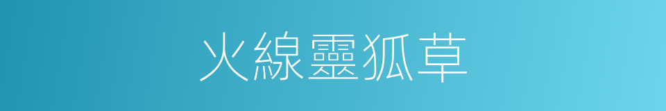 火線靈狐草的同義詞