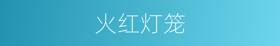 火红灯笼的同义词
