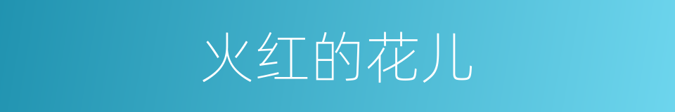 火红的花儿的同义词