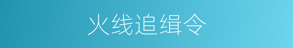 火线追缉令的同义词