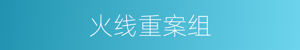 火线重案组的同义词