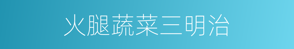 火腿蔬菜三明治的同义词
