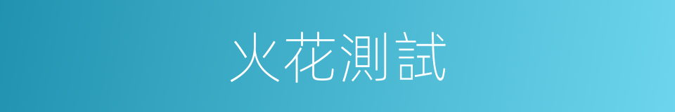 火花測試的同義詞