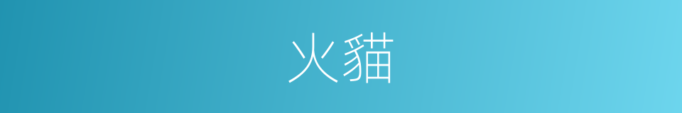 火貓的同義詞