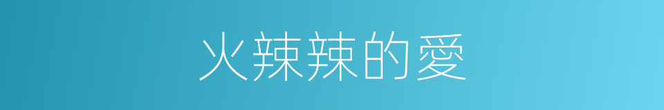 火辣辣的愛的同義詞