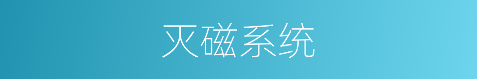 灭磁系统的同义词