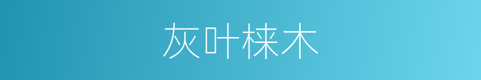 灰叶梾木的同义词
