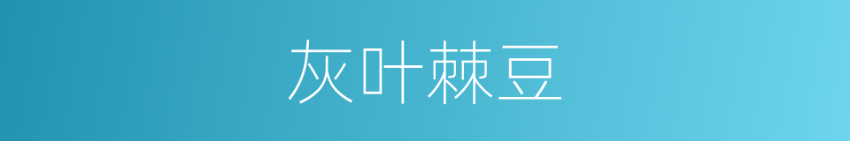 灰叶棘豆的同义词