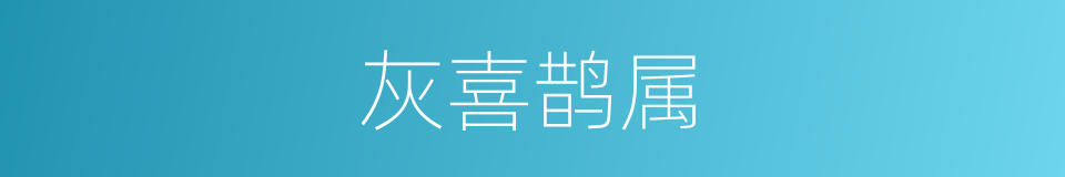 灰喜鹊属的同义词
