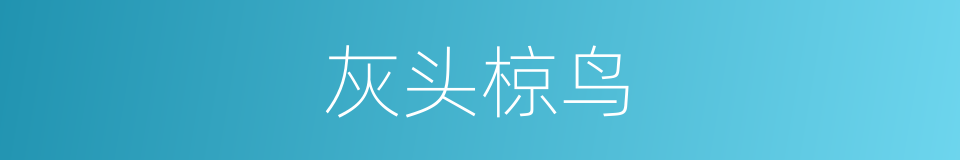 灰头椋鸟的同义词