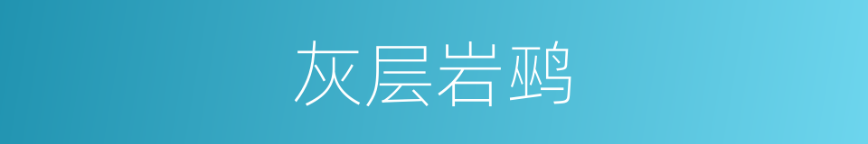 灰层岩鹀的同义词