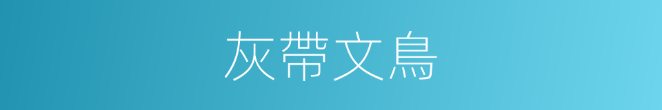 灰帶文鳥的同義詞