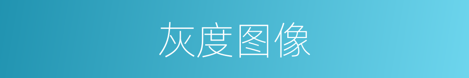 灰度图像的同义词