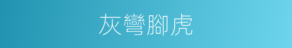 灰彎腳虎的同義詞