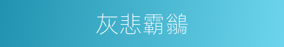 灰悲霸鶲的同義詞