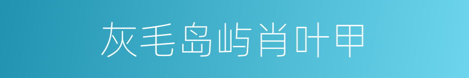 灰毛岛屿肖叶甲的同义词