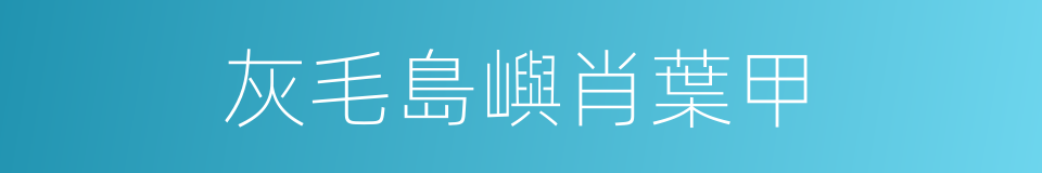 灰毛島嶼肖葉甲的同義詞