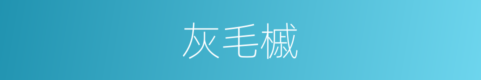 灰毛槭的同义词