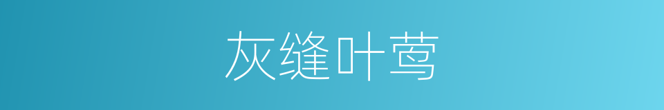 灰缝叶莺的同义词