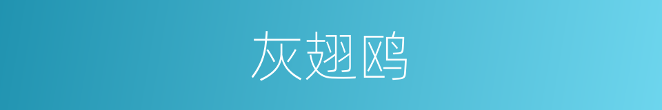 灰翅鸥的同义词