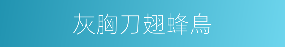 灰胸刀翅蜂鳥的同義詞
