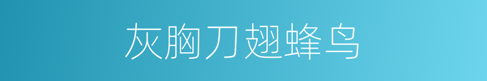 灰胸刀翅蜂鸟的同义词