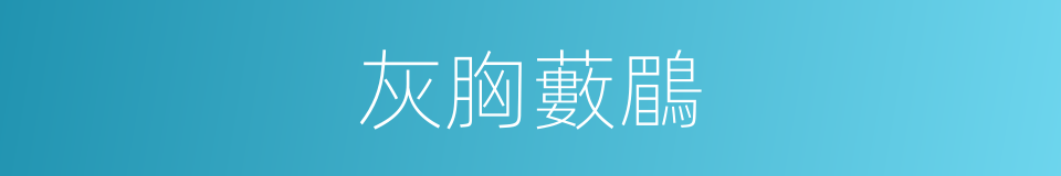 灰胸藪鶥的同義詞